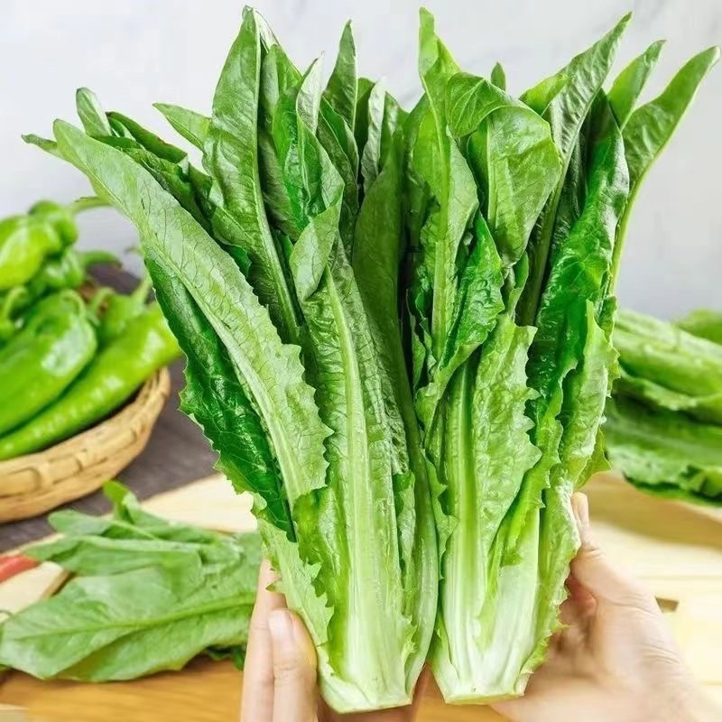 物流公司之间的博弈：枝江货运公司如何突围